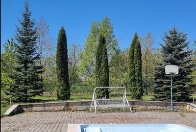 Proprietate deosebita la Vorona pe 1 ha de teren - 8