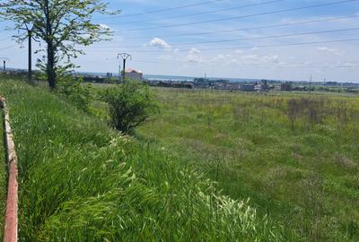Teren 2500 mp la intrare in Eforie Nord - 3