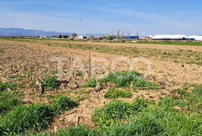 Oportunitate INVESTITIE Teren de vanzare 4166 mp ACCES FACIL SELIMBAR - 2