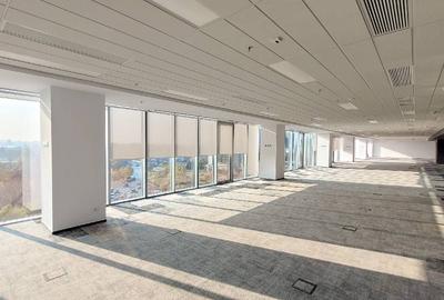 City Gate, Presei Libere, 250 - 7200 mp  0% comision! - 13