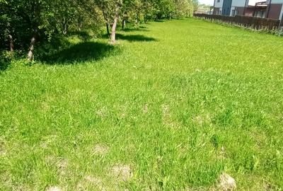 Casa noua tip vila cu 6 apartamente, P+2E, 1500 mp teren, Buna Ziua - 7