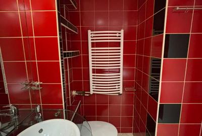 Inchiriere garsoniera spatioasa Rond Alba Iulia / Dristor - 8