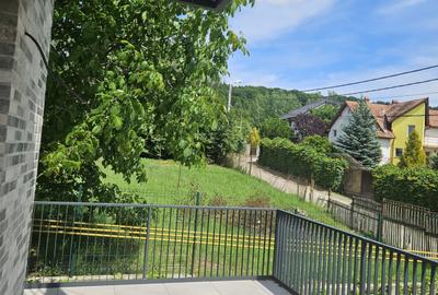 Oportunitate! Casa individuala in Faget, la stadiul FINISAT, 190 mp utili! - 20