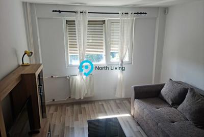 Apartament 2 Camere Dr Iacob Felix | Victoriei Ideal Investitie - 2