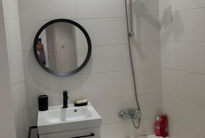 Inchiriere ap  2 camere modern Piata Alba Iulia - 10