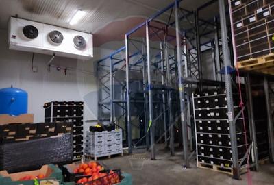 Depozit frigorific  hala ideal legume, fructe, flori - 4