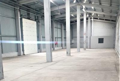 Hală Exterior Nord 476mp - 1