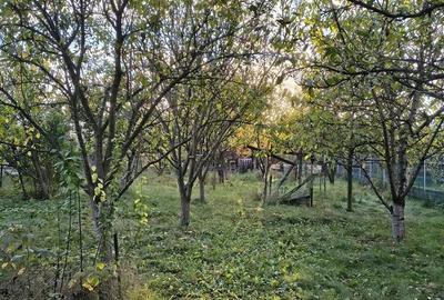 De vânzare casă cu teren 770 mp, în Dâmbul Rotund - 2