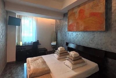 Proprietar vând Hotel Boutique  la Timișoara - 14