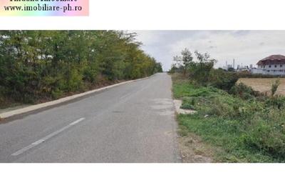 Teren Construcții intravilan de 618 mp, în Bucov