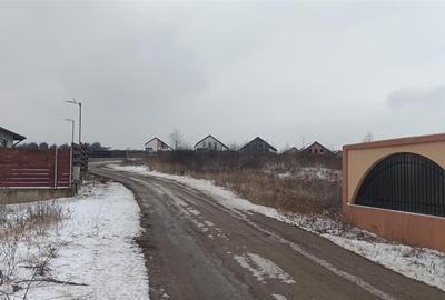 Teren Construcții intravilan de 6383 mp, în Vișan