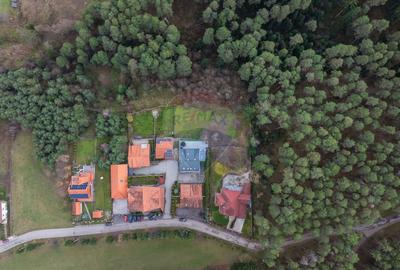 Vila moderna cu vedere spre padure Poiana Angelescu - 60