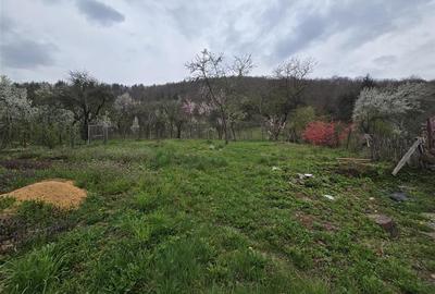 RECO Casa in Sustiu - 23