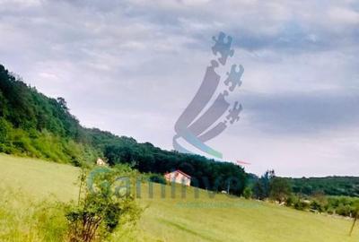 Teren de vanzare, la iesirea din Baile Felix, Bihor - 3