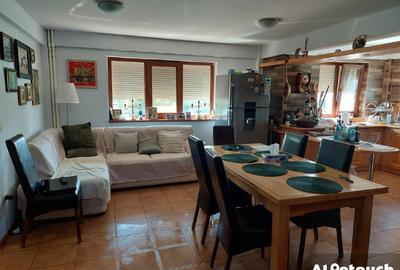 Casa de vacanta P+M,anexa de exploatatatie agricola - 4