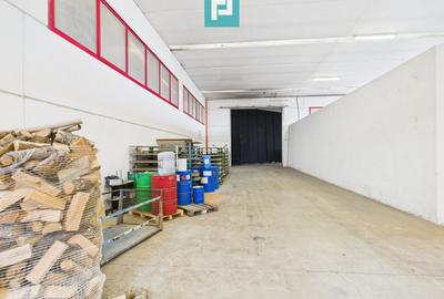 Hală de producție, cu birouri și teren, în Sebiș - 21