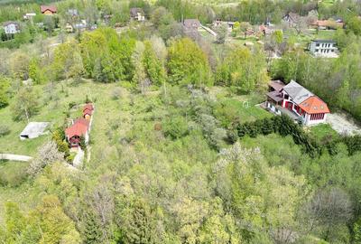 Teren intravilan Bran- Predelut - 29