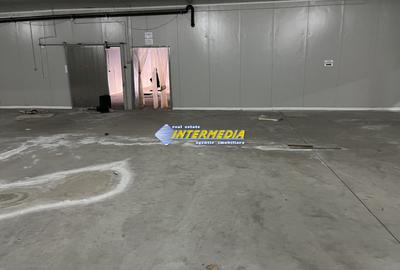 HALA DE INCHIRIAT I 2100 MP I ALBA IULIA I ZONA CENTRU I - 15