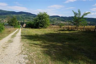 TEREN IDEAL PENTRU A-FRAME SAU UN CONTAINER MODERN - 4