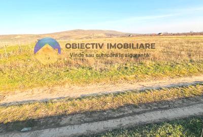 TEREN intravilan 10.000 mp  PIATRA-NEAMȚ - 3