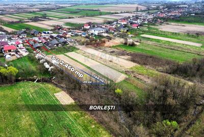 Casă din cărămidă cu teren generos de 2460 mp și anexe, în Borlești - 5