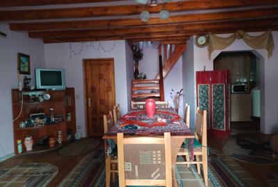 Proprietate de vacanta Valea Oltului - BREZOI - 6