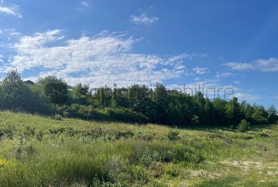 Teren intravilan  Sânmartin | Utilități la stradă | PUZ - 3