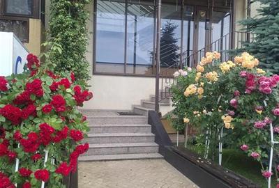 Apartament 2 camere Capat Cug - 16