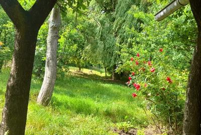 Casa de vanzare sat Manastioara, com. Fitionesti, jud. Vrancea, - 3