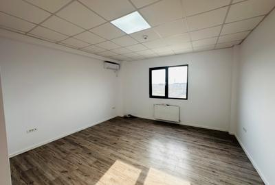 Hala industriala nouă, 386 mp, teren 900 mp, Domnești-Centura - 19