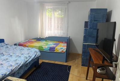 Casa cu 1ha teren la Baisa - 4