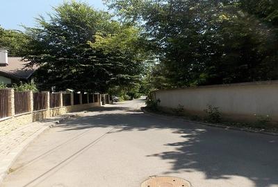 Teren Intravilan ,Padurea Baneasa , Voluntari - 3