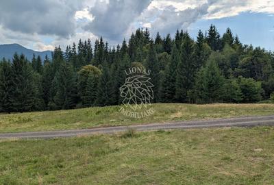 Teren Construcții intravilan de 785 mp, în Colibița