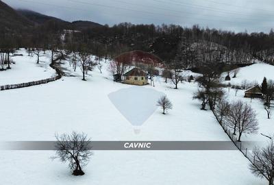 Teren 826mp in CAVNIC zona Pietrele Soimului cu o priveliste minunata. - 6