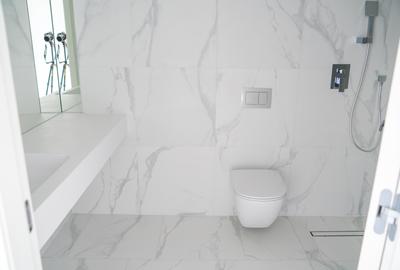 APARTAMENT 4 CAMERE - GRADINA 155MP - FABRICA DE GLUCOZA - COMISION 0% - 16