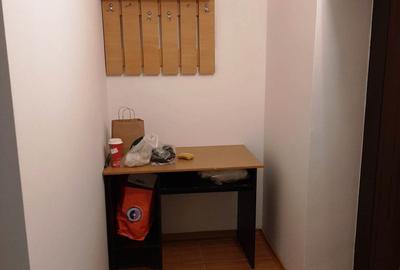 Grozavesti - Bld Regiei -  Garsoniera 40 mp - CENTRALA PROPRIE - 4