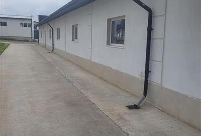 Hala de productie 370 mp renovata de inchiriat – Valea Seaca, la 10 minute de or - 4