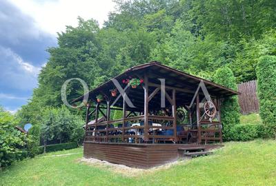 AX949 Pensiune Exclusivista In Inima Statiunii Sovata - 3