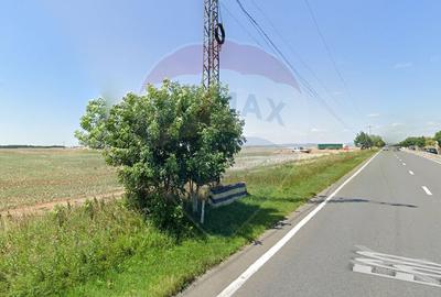 Teren agricol extravilan de 17500 mp, în Păulești