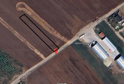 Teren intravilan - agricol - Frumusani - 1