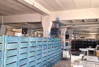 Hala de vanzare Productie Depozitare Calea Clujului Oradea - 4