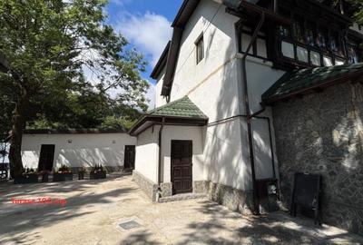 Spatiu pt restaurant de inchiriat - langa Castelul Peles - 1