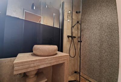 CASA INDIVIDUALA CENTRU ISTORIC CU PRIVELISTE-FARA CURTE-130MP= 1515 EURO/MP - 18