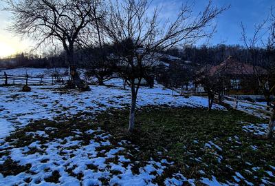Teren intravilan Simon/Bran, 4318 mp , casuta intabulata, utilitati - 7