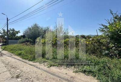Teren intravilan | De vanzare | 600 mp | Micesti - 3