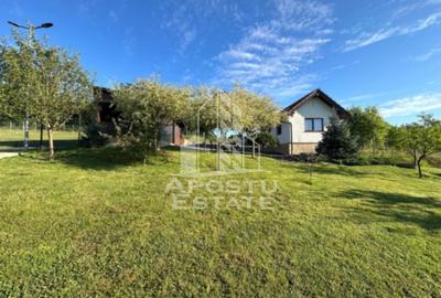 Casa de vacanta cu. teren 31.300  Nadas, 38 km de Timisoara. - 4