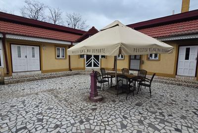 Vila de vanzare Petresti Crang - 9