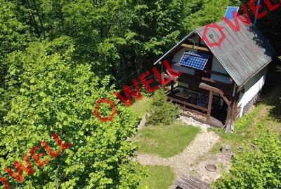 Cabana deosebită de vânzare între Valea Zălanului și Malnaș! - 6
