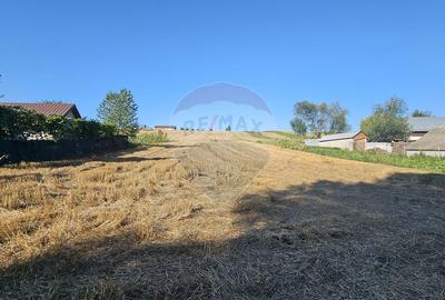 Teren intravilan, 7500 mp in Moara Carp / Strada Eternitatii-Suceava - 2