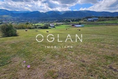 Teren Tocile (parcelabil) 3500 mp - 3